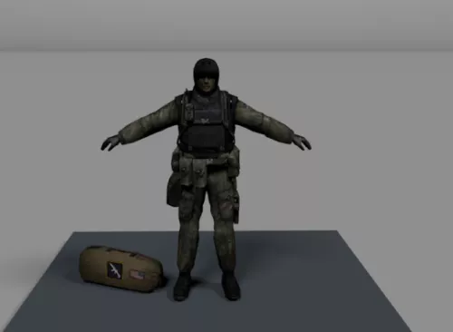 Bf 2 Seal 3d model Bf 2 Seal 3d model