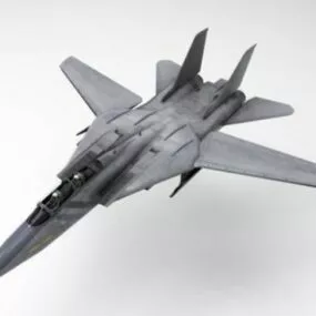 F14 Super Tomcat Aircraft 3d model