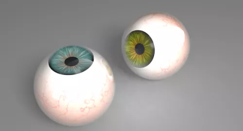 Realistic Eyeball 3d model Realistic Eyeball 3d model