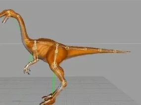 Gallimimus Dinosaur 3d model