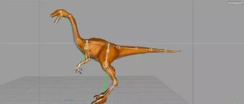 Protoceratops Dinosaur Animation With Rig 3d model