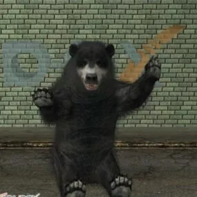 Black Bear Animal 3d model