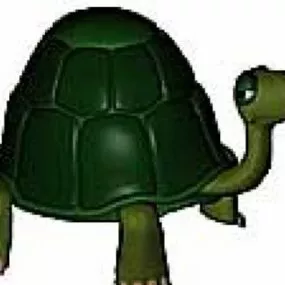 Turtle 3d model