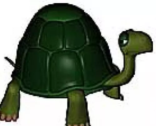 Turtle 3d model Turtle 3d model