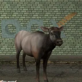 Elk Wild Animal 3d model
