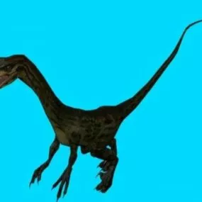Coelophysis Dinosaur 3d model