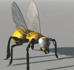 Insect 3d model
