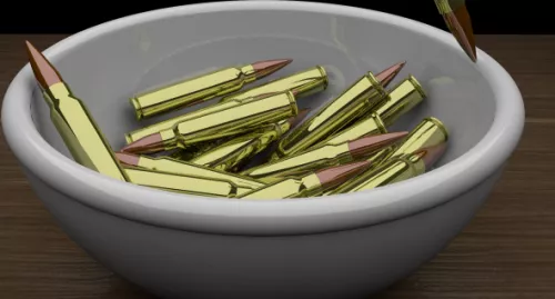Shotgun Shell Gun Bullet 3d model