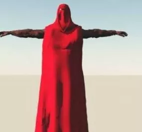 Star Wars Republic Guard 3d model