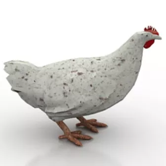 White Hen Chicken 3d model White Hen Chicken 3d model