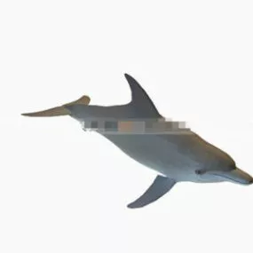 Dolphin 3d model