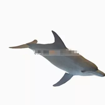 Dolphin 3d model Dolphin 3d model