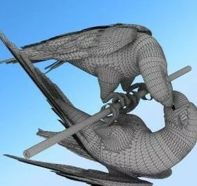 Parrot Animals 3d model