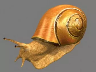 Cute Snail Robot Character 3d model