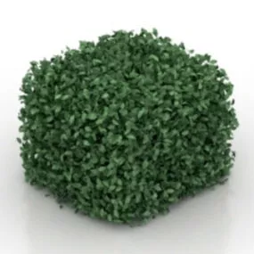 Square Leaves Plant 3d model