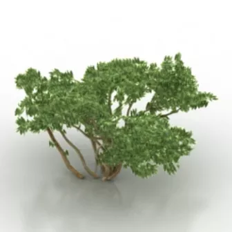 Green Shrub 3d model Green Shrub 3d model