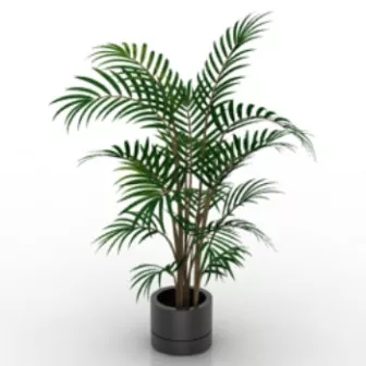 Simple Bonsai Plant 3d model Simple Bonsai Plant 3d model