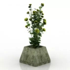 Wild Flowers Plant 3d model