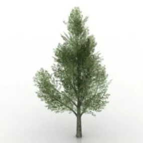 Green Trees 3d model
