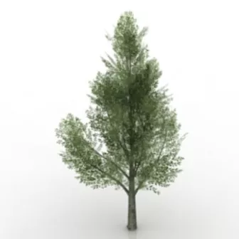 Green Trees 3d model Green Trees 3d model