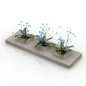 Orchid Plant 3d model