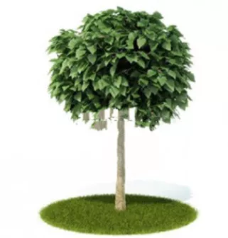 Green Trees 3d model Green Trees 3d model