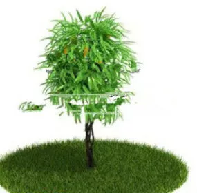 Park Plants 3d model