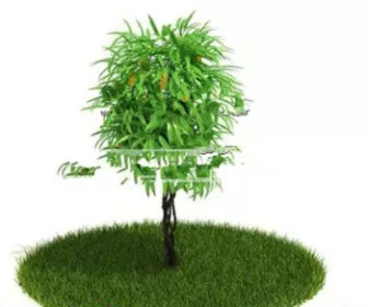 Park Plants 3d model Park Plants 3d model