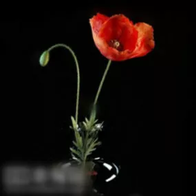 Flower Decorations 3d model