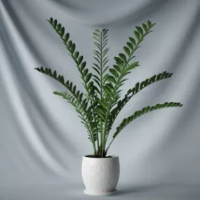 Indoor Potted Flower 3d model