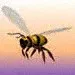 Bee 3d model