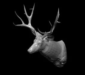 Deer Head 3d model