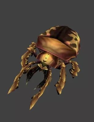 Beetles Animal 3d model Beetles Animal 3d model