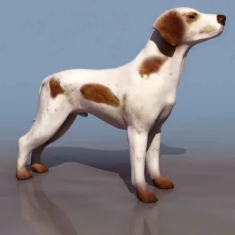 White Dog Animal 3d model White Dog Animal 3d model