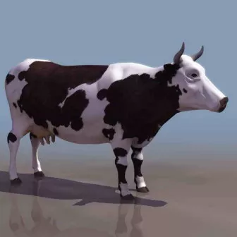Cow Animal 3d model Cow Animal 3d model