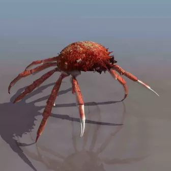 Crab Animal 3d model Crab Animal 3d model