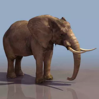 Brass Elephant Statue 3d model