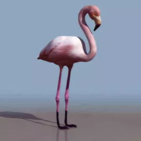 Swan Animal 3d model