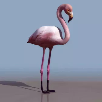 Swan Animal 3d model Swan Animal 3d model