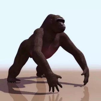 Gorilla 3d model Gorilla 3d model