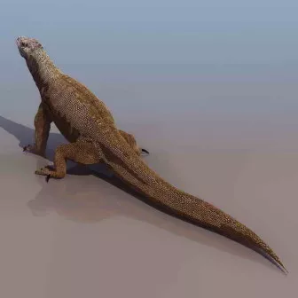 Chameleon Animal 3d model Chameleon Animal 3d model
