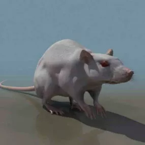 Mouse Animal 3d model
