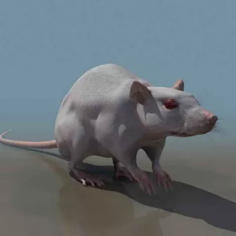 Animated Mouse Devil 3d model