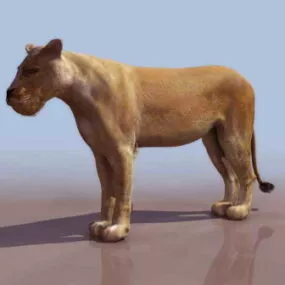 Lion Animal 3d model