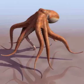 Octopus 3d model