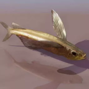 Fish Animals 14 3d model