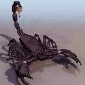 Scorpion 3d model