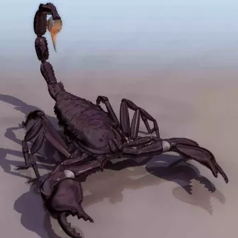 Golden Scorpion 3d model