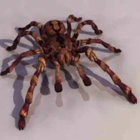 Spider Animal 3d model
