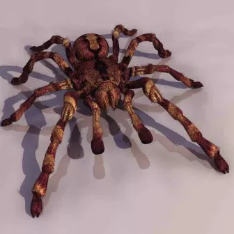 Spider Animal 3d model Spider Animal 3d model